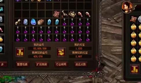 专业老道简明叙述职业精髓玩法